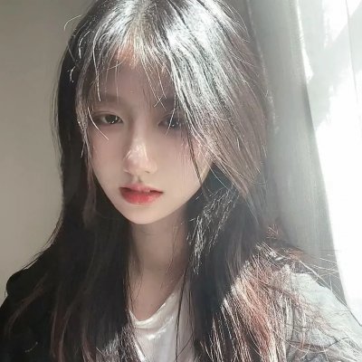 豹